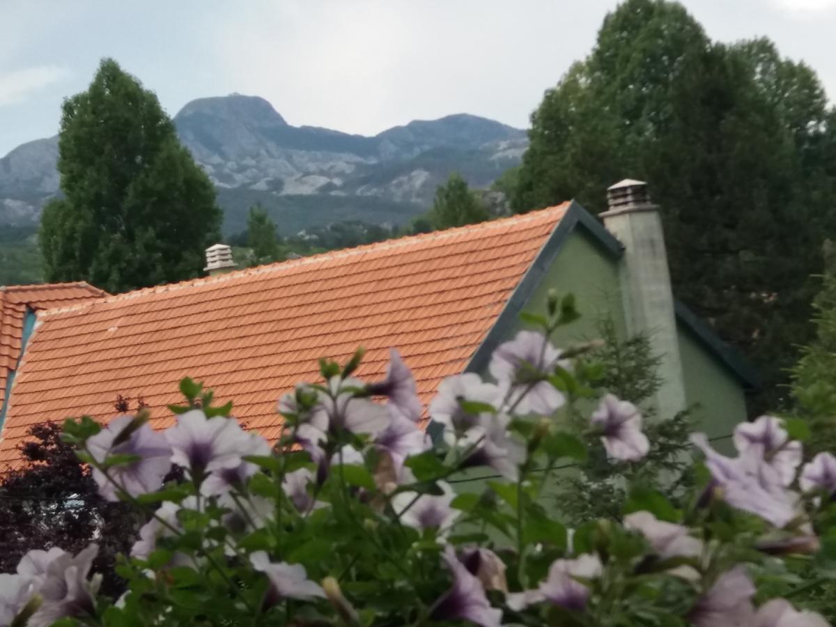 Apartments Mirkovic Цетинє Екстер'єр фото