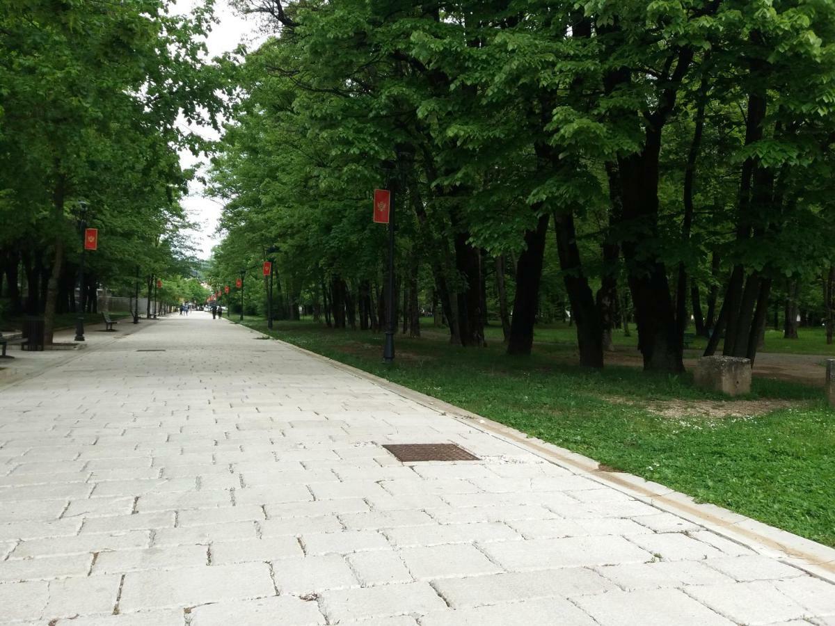 Apartments Mirkovic Цетинє Екстер'єр фото