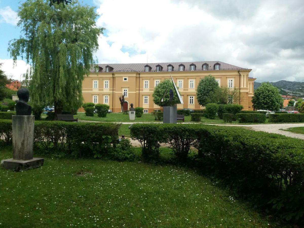 Apartments Mirkovic Цетинє Екстер'єр фото