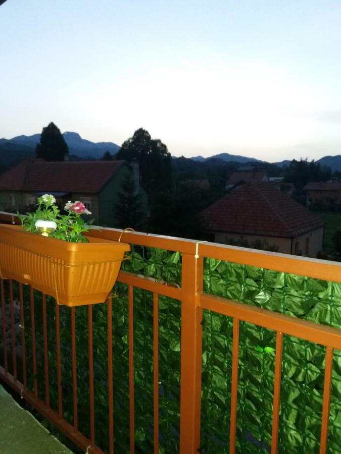 Apartments Mirkovic Цетинє Екстер'єр фото